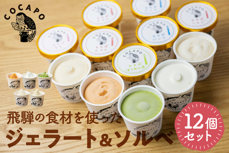 「飛騨のジェラート ソルベ 12個入り 詰め合わせ 野菜 スイーツ ヘルシー アイス アイスクリーム ギフト プレゼント 誕生日祝い 国産野菜 カカポ[FE002]