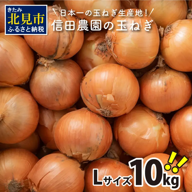 【予約：2026年10月中旬から順次発送】日本一の玉ねぎ生産地！信田農園の玉ねぎ 10kg Lサイズ ( 信田農園 野菜 玉ねぎ 玉葱 たまねぎ タマネギ 10キロ 北見のたまねぎ オニオン 野菜 甘い ふるさと納税 )【124-0006-2026】