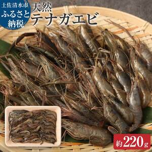 天然テナガエビ１パック（冷凍 約220g） 【R00026】