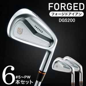 【藤本技工製】FK01 CAVITY #5～Pw(DG) 680BE01N. ／軟鉄鍛造 フォージド アイアン 国産 ゴルフクラブ
