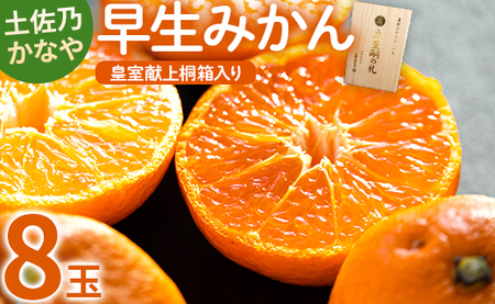 【2026年11月より順次配送】早生みかん 8玉 桐箱入り みかん be-0110