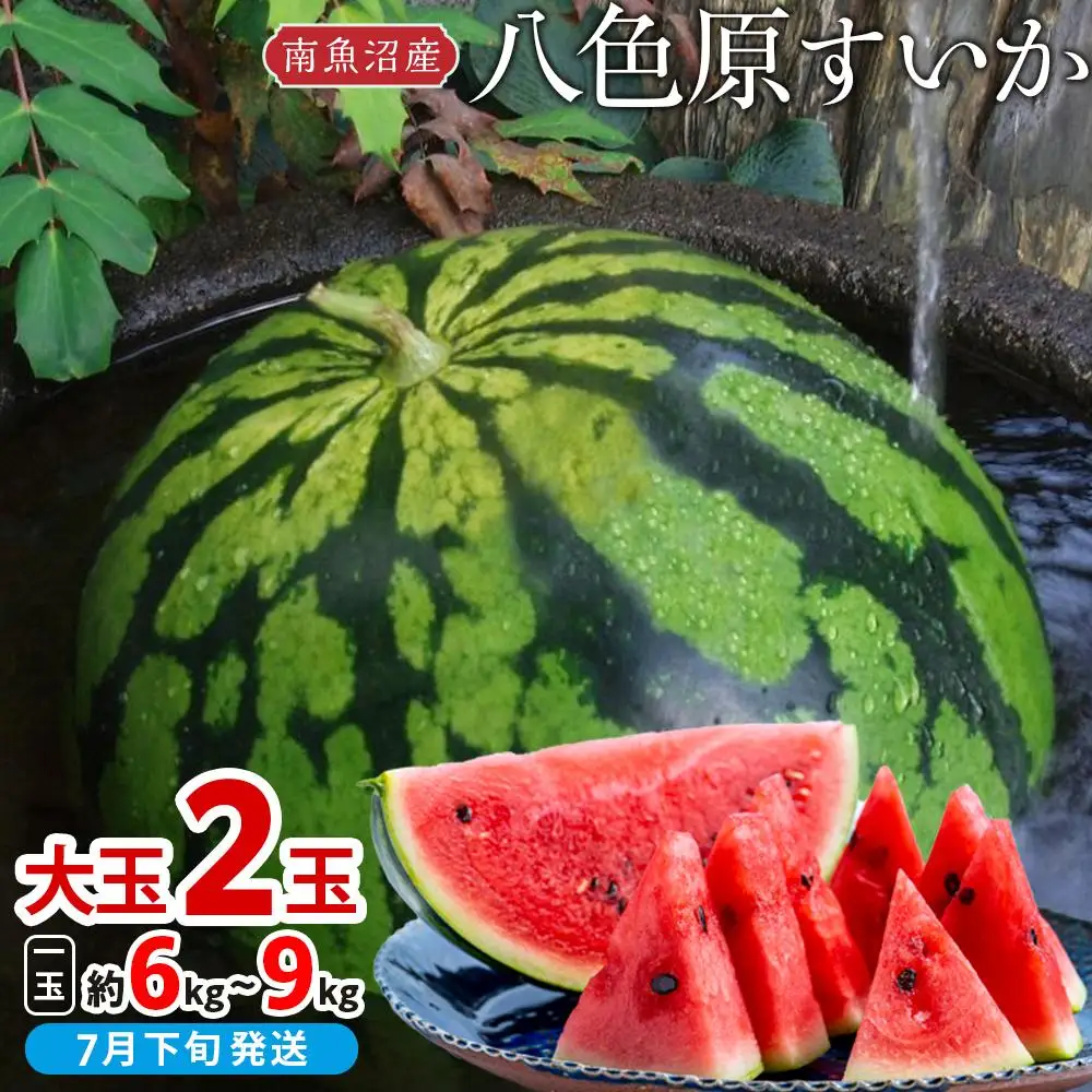 【先行予約】【新潟県 南魚沼産】八色原すいか大玉２玉【西瓜 スイカ すいか 大玉 季節限定 果物 フルーツ ギフト 名産地 産地直送 シャキシャキ 厳選 デザート 新潟県】【2026年7月下旬発送】【お届け日時指定不可】