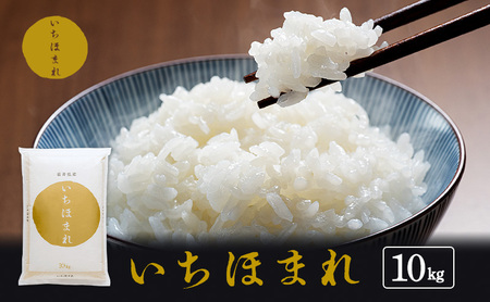 いちほまれ 10kg 精米 白米 おこめ ご飯 いちほまれ