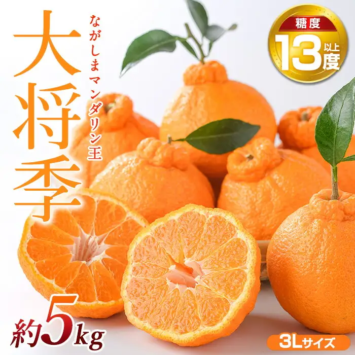 ながしまマンダリン王(大将季) 約5kg【ながしまマンダリングループ】mandarin-7198