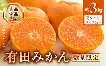 【2026年先行予約】 期間限定 有田みかん 約 3kg 2S～Lサイズ サイズ混合 30個 前後 秀品 優品 紀州 有田 みかん 温州みかん フルーツ 果実 甘み 酸味 絶妙 バランス 果物 柑橘 国産 食品 食べ物 マルシ農園 お取り寄せ 和歌山県 湯浅町 送料無料_BF6031n