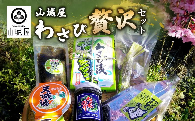 わさび 山城屋 わさび 贅沢 セット 調味料 わさび