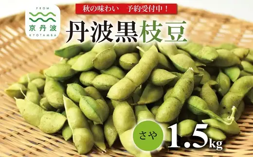 【先行予約】丹波黒枝豆 1.5kg(500gx3袋) 黒枝豆