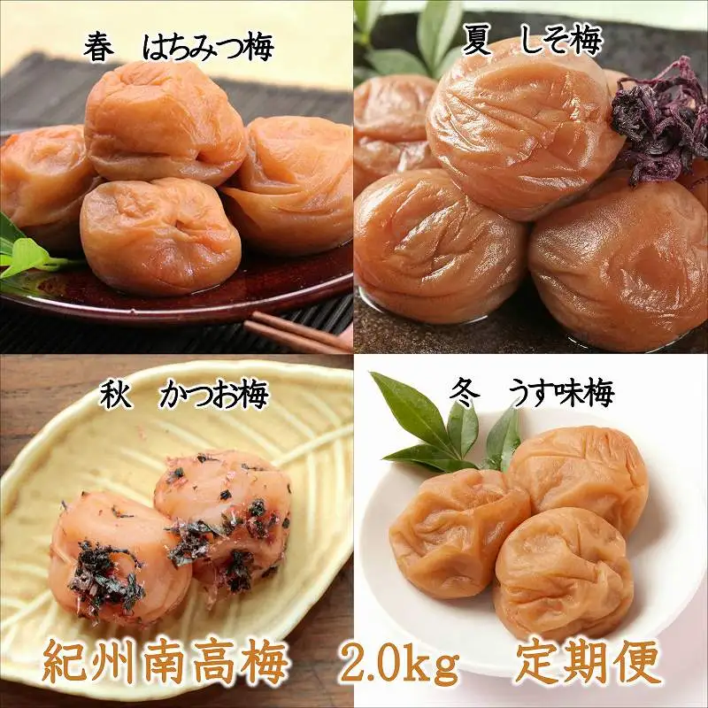 【8020-4】御坊市　紀州南高梅2kgの定期便（春・夏・秋・冬）4回