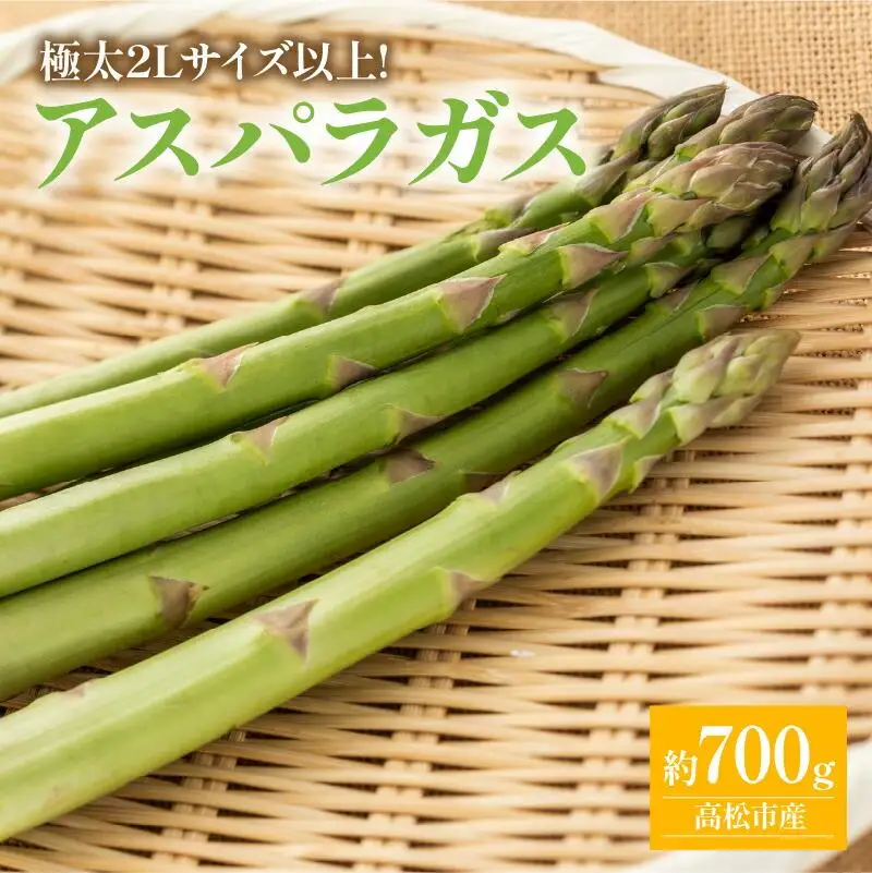 期間限定企画 極太2Lサイズ以上! アスパラガス 約700g【2027-3月上旬～2027-4月下旬配送】