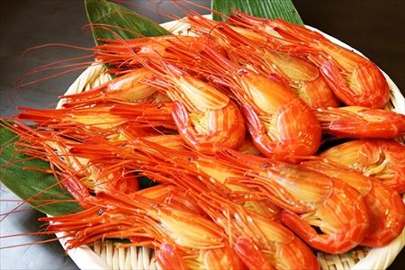 【北海道根室産】北海しまえび400g(約16～20尾)×2P C-32029
