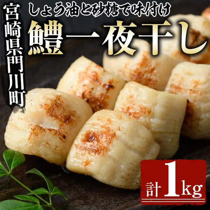 鱧の一夜干し(計1kg)ハモ 干物 魚介 おつまみ おかず 小分け 冷凍 国産 宮崎県 門川町【O-2】【門川漁業協同組合】