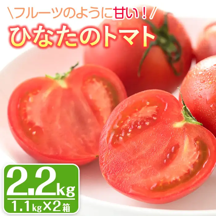 ＜先行予約受付中！2027年1～5月の間に発送予定＞ひなたのとまと(計2.2kg・1.1kg×2箱)フルーツトマト  冷蔵 門川町産 【A-3】【株式会社 新門トマト農園】