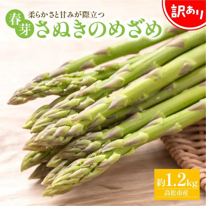 訳あり 柔らかさと甘みが際立つ さぬきのめざめ春芽 約1.2kg【2027-3月上旬～2027-5月下旬配送】