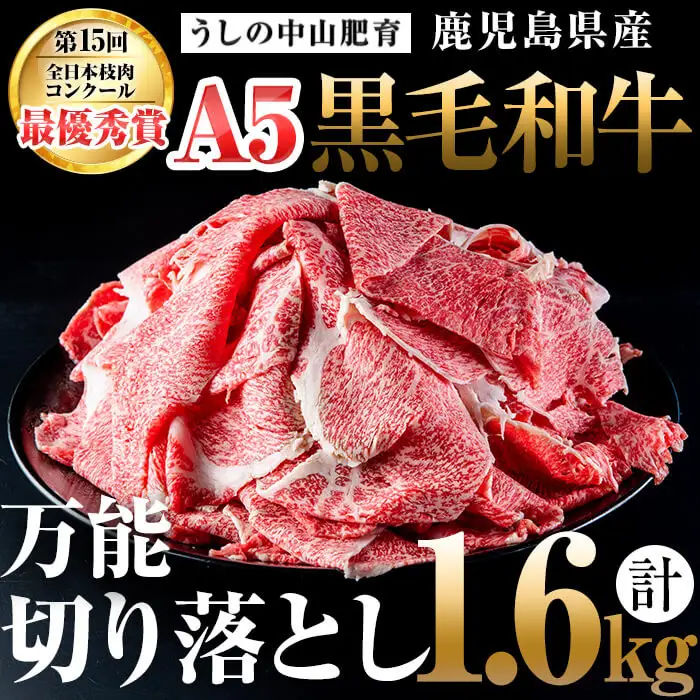 b5-138 ＜A5等級＞鹿児島県産黒毛和牛万能切り落とし 計1.6kg(400g×4P)