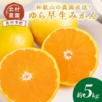 【0769-4】和歌山の農園直送！北村農園のゆら早生みかん5kg《先行予約》