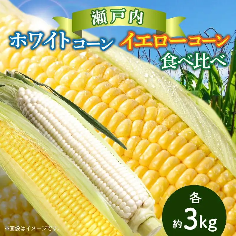 瀬戸内ホワイトコーン・イエローコーン食べ比べ 各約3kg【2027-6月中旬～2027-7月中旬配送】| コーン