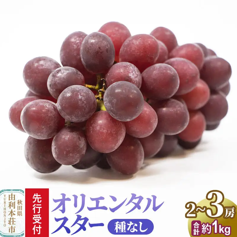 《先行受付》オリエンタルスター 2～3房（約1kg） 秋田県産  齋弥果樹園