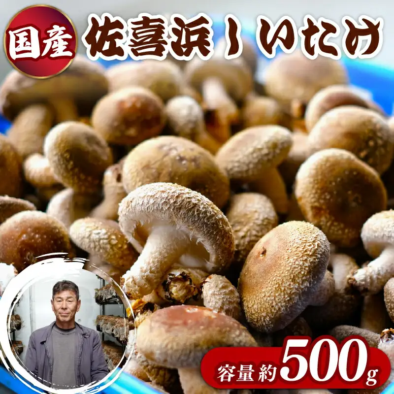 国産 佐喜浜しいたけ 約500g 椎茸 しいたけ 肉厚 うまみ 菌床 きのこ キノコ 調理 料理 ごはん ご飯 6000円 高知県