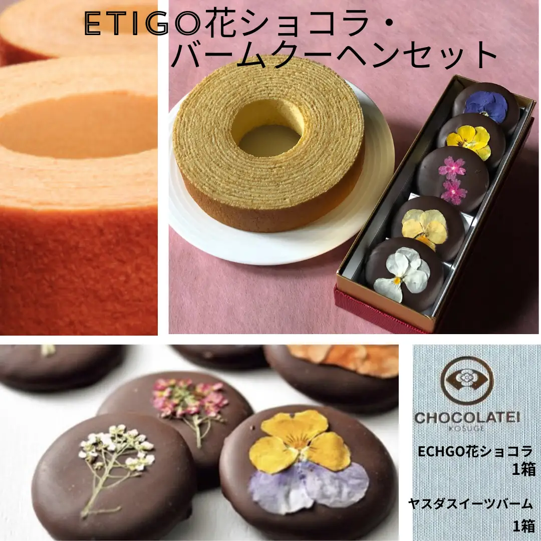 しょこら亭 ECHIGO花ショコラ＆バームクーヘンセット お菓子 菓子 スイーツ 贈答 1Z01013
