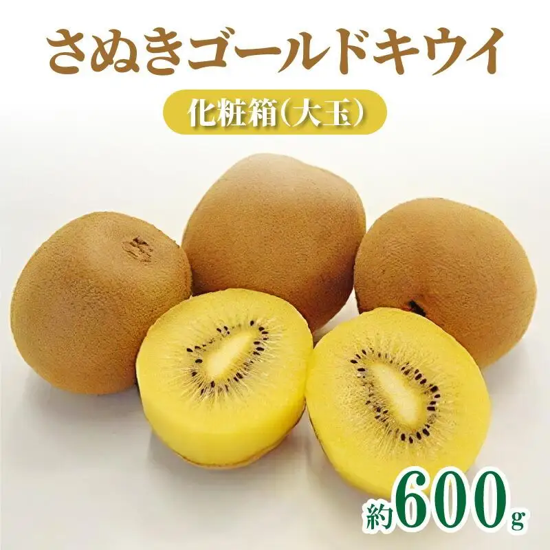さぬきゴールドキウイ化粧箱(大玉)　約600g【2026年10月中旬～2027年1月下旬配送】
