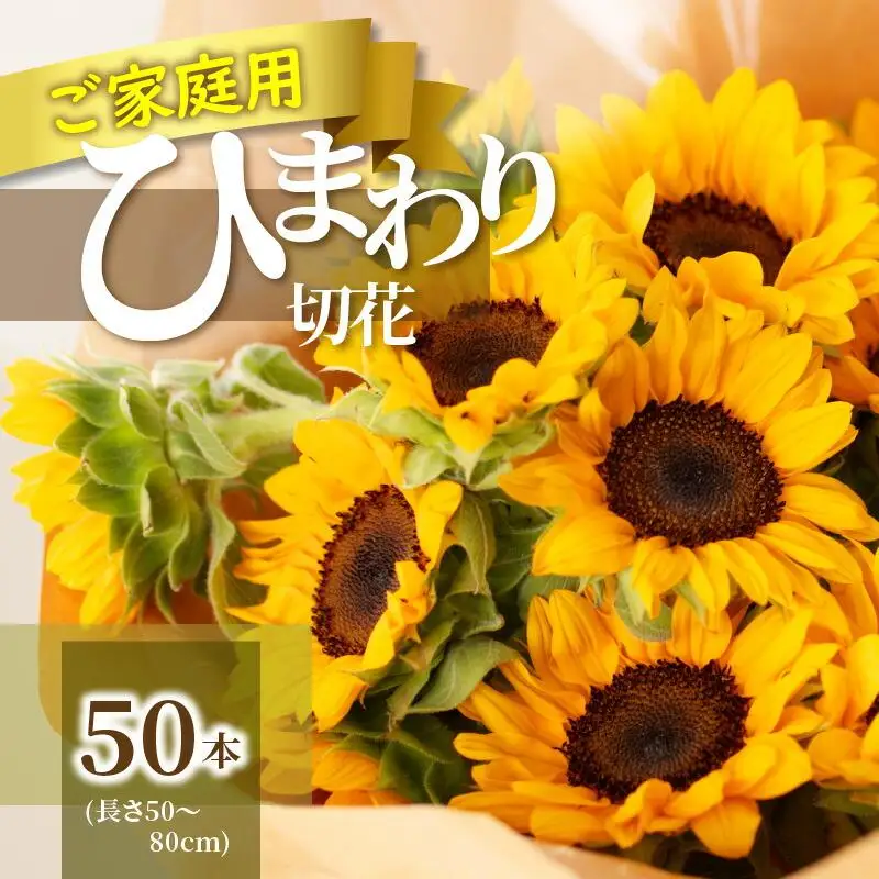 ご家庭用　ヒマワリ切花【2026年6月中旬～2026年9月下旬配送】