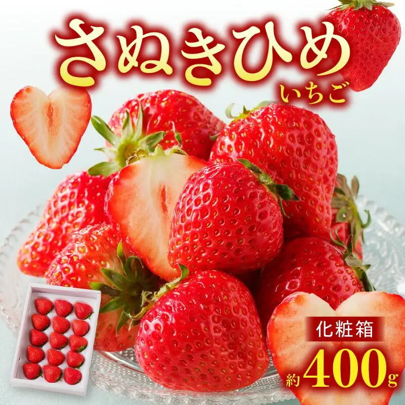 さぬきひめ いちご 化粧箱 約400g【2026年11月上旬～2027年1月下旬配送】
