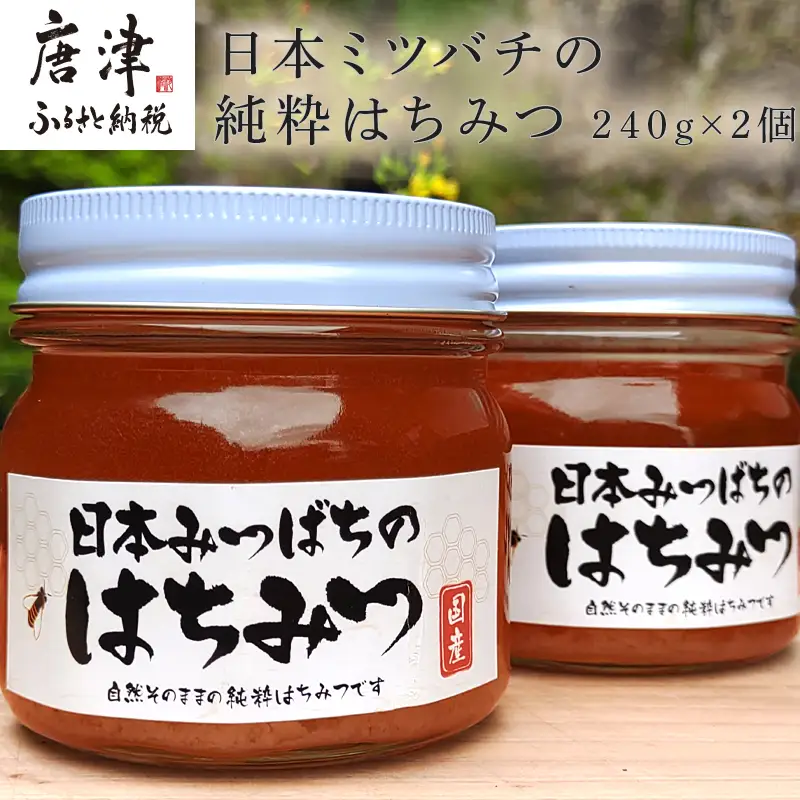 日本ミツバチの純粋はちみつ 240g×2個 (合計480g)