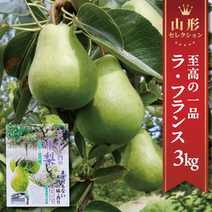 SA3076　六代多右エ門　西洋梨 特選 ラ・フランス《山形セレクション》　約3kg(9～10玉) 