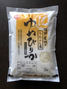 らんこし米（ゆめぴりか）　２ｋｇ（坂野農場）
