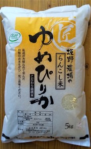 らんこし米（ゆめぴりか）　５ｋｇ（坂野農場）