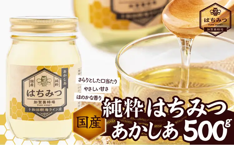 アカシア蜂蜜 500g　50P5409【加賀商店】