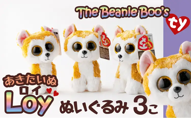 60P7320 Tyぬいぐるみ秋田犬Loy(ロイ)　3個セット【花ドーム】
