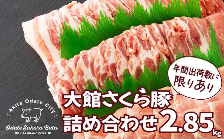 大館さくら豚詰め合わせ2.85kg　175P2151【田村精肉店】