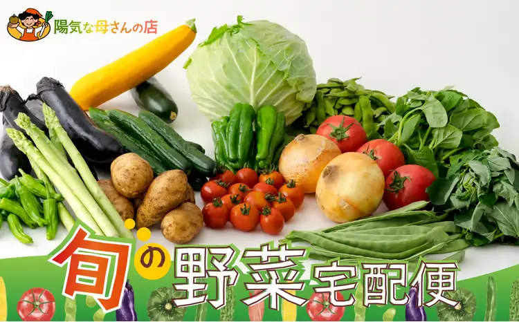 60P3205 旬の野菜宅配便【陽気な母さんの店 】