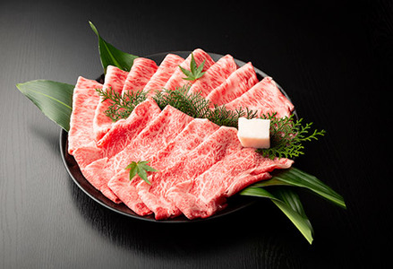 【極上 丹波篠山牛】 特選赤身 すき焼き肉 （ 500g 2~3人前 ） すき焼き AB07