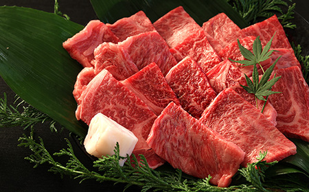 【極上 丹波篠山牛】 焼肉セット （ 500g 2~3人前 ） 焼肉 AB21