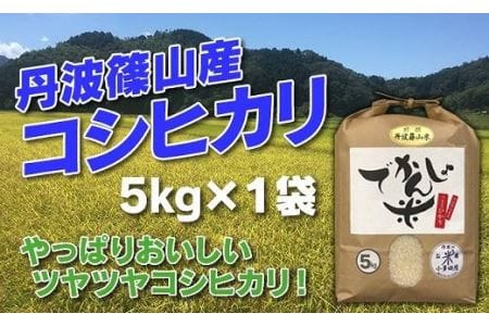 【令和７年産】お米のおいしさを伝えたい！ 特A 丹波篠山産 コシヒカリ (5kg×1袋） こしひかり AD06