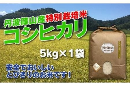 【令和７年産】特別栽培米 特A 丹波篠山産 コシヒカリ (5kg×1袋） こしひかり 減農薬 AD14