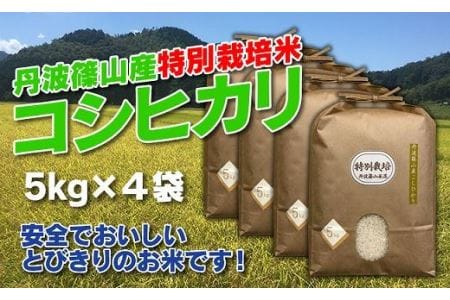 【令和７年産】特別栽培米 特A 丹波篠山産 コシヒカリ (5kg×4袋 計20kg） こしひかり 減農薬 AD16