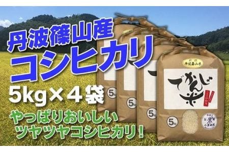 【令和７年産】お米のおいしさを伝えたい！ 特A 丹波篠山産 コシヒカリ (5kg×4袋 計20kg） こしひかり AD18