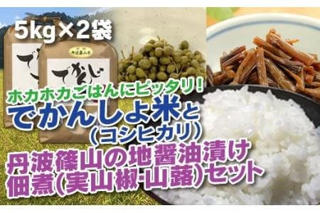 【令和7年産】丹波篠山の地醤油漬・佃煮セット でかんしょ米5kg×２ 実山椒・山蕗　ごはんのお供付き  AD26    