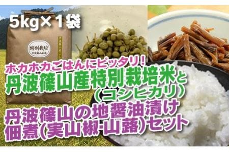 【令和7年産】丹波篠山の地醤油漬・佃煮セット 特別栽培米5kg  実山椒・山蕗 ごはんのお供付き  AD27    