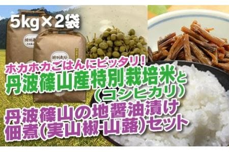 【令和7年産】丹波篠山の地醤油漬・佃煮セット 特別栽培米5kg×２ 実山椒・山蕗 ごはんのお供付き AD28    