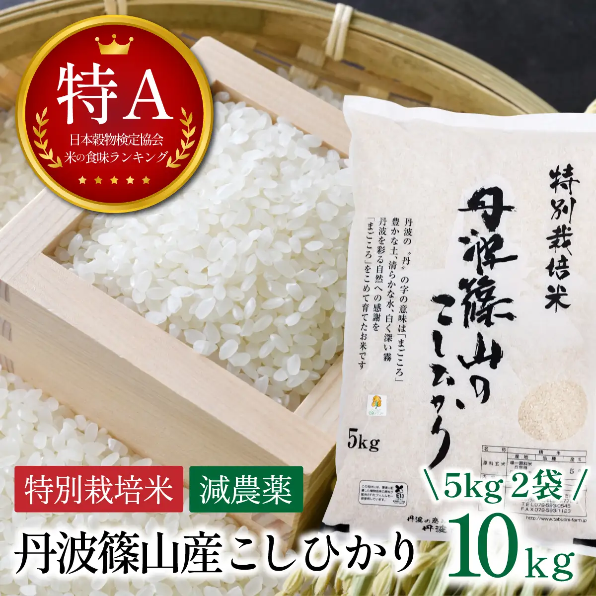 寄付額改定〈スピード出荷〉減農薬 特A 丹波篠山産 特別栽培米 こしひかり 10kg 精米 小分け