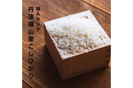 【令和7年産】丹波篠山産 特A 特別栽培米 コシヒカリ  (5kg×4袋 小分け) こしひかり  BA10