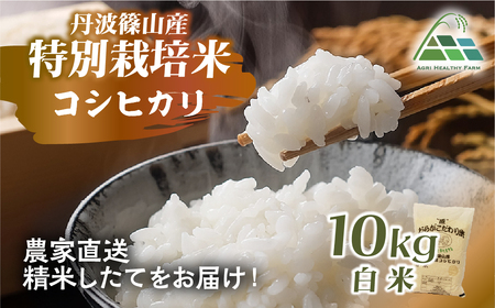 【令和7年産】丹波篠山産 特別栽培 コシヒカリ (白米 10kg) 特別栽培米 減農薬栽培  BE02