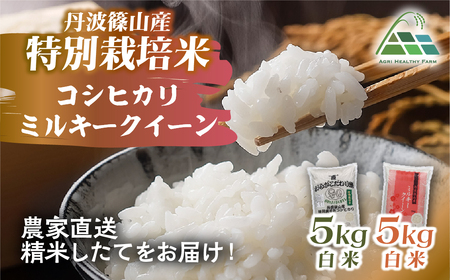 【令和7年産】丹波篠山産 特別栽培 食べ比べ (コシヒカリ5kg ミルキークイーン5kg) 特別栽培米 減農薬栽培  BE03
