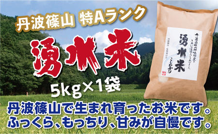 特A〈スピード出荷〉コシヒカリ 湧水米 5kg こしひかり ［Y029-2602］