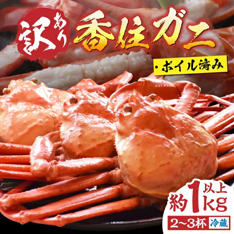 浜茹で 香住がに 訳あり 5杯 1.5kg以上 訳あり】 浜茹で 香住ガニ 約1kg以上 【令和8年9月中旬以降発送予定