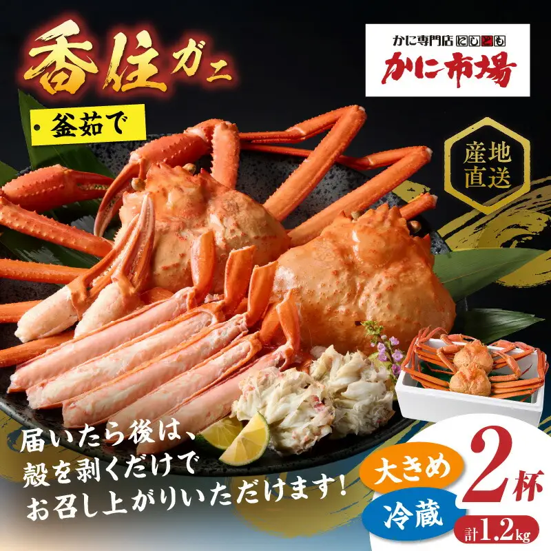 高評価☆4.6 香住ガニ 約600g×2匹（約1.2kg以上）【令和8年9月中旬以降発送予定】かに カニ 07-01